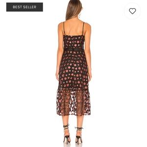 jack by bb dakota magic hour dress